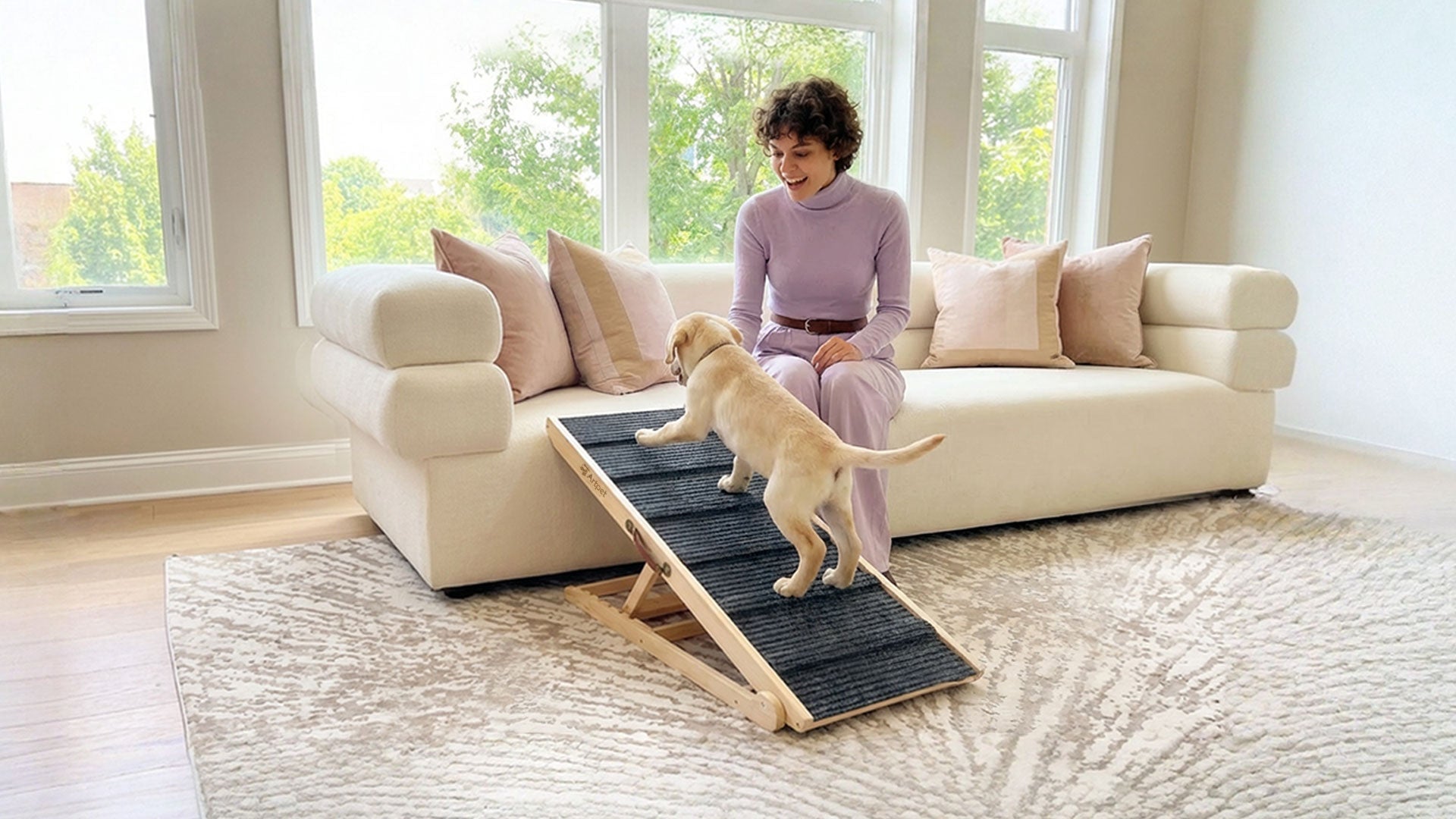 The "Hidden Jump" Debt: How One Sofa Leap Impacts Your Corgi’s Spine Over Time