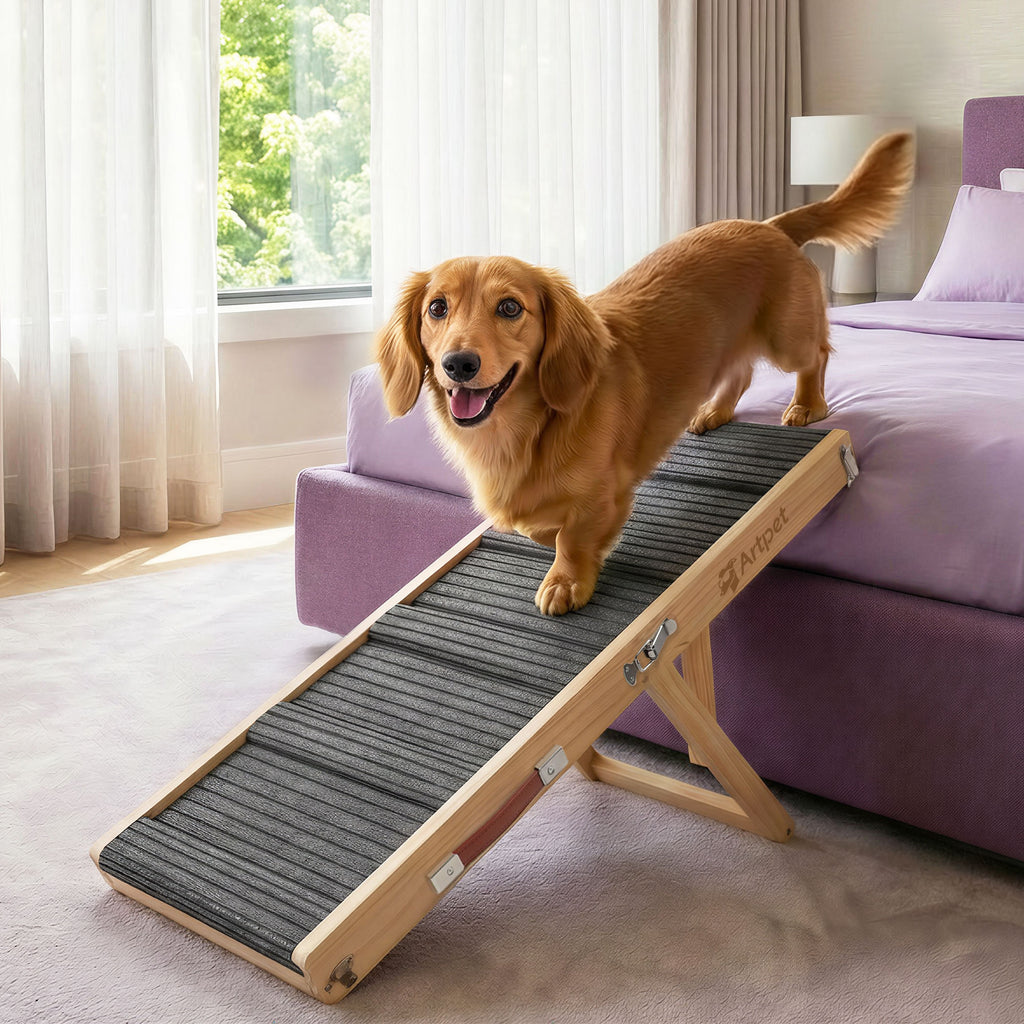 Dog Ramp for Small Dogs for Couch & Bed, Dachshund Joint Care Ramp