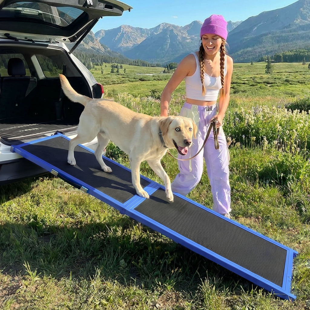 Dog Ramp for Car