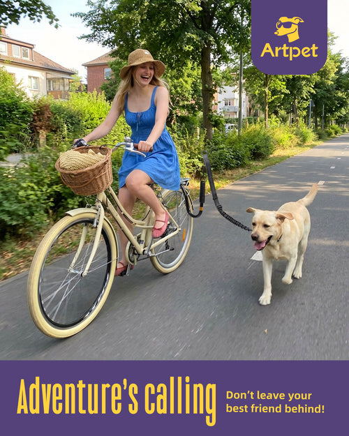 Dog Bike Attachment for Cycling with Dogs, Hands-Free Bicycle Leash with Shock Absorbing Spring, Safe Running Companion for Medium & Large Pets, Easy Install Bike Accessory, Black