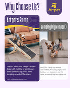 Dog Ramp for Small Dogs for Couch & Bed, Dachshund Joint Care Ramp
