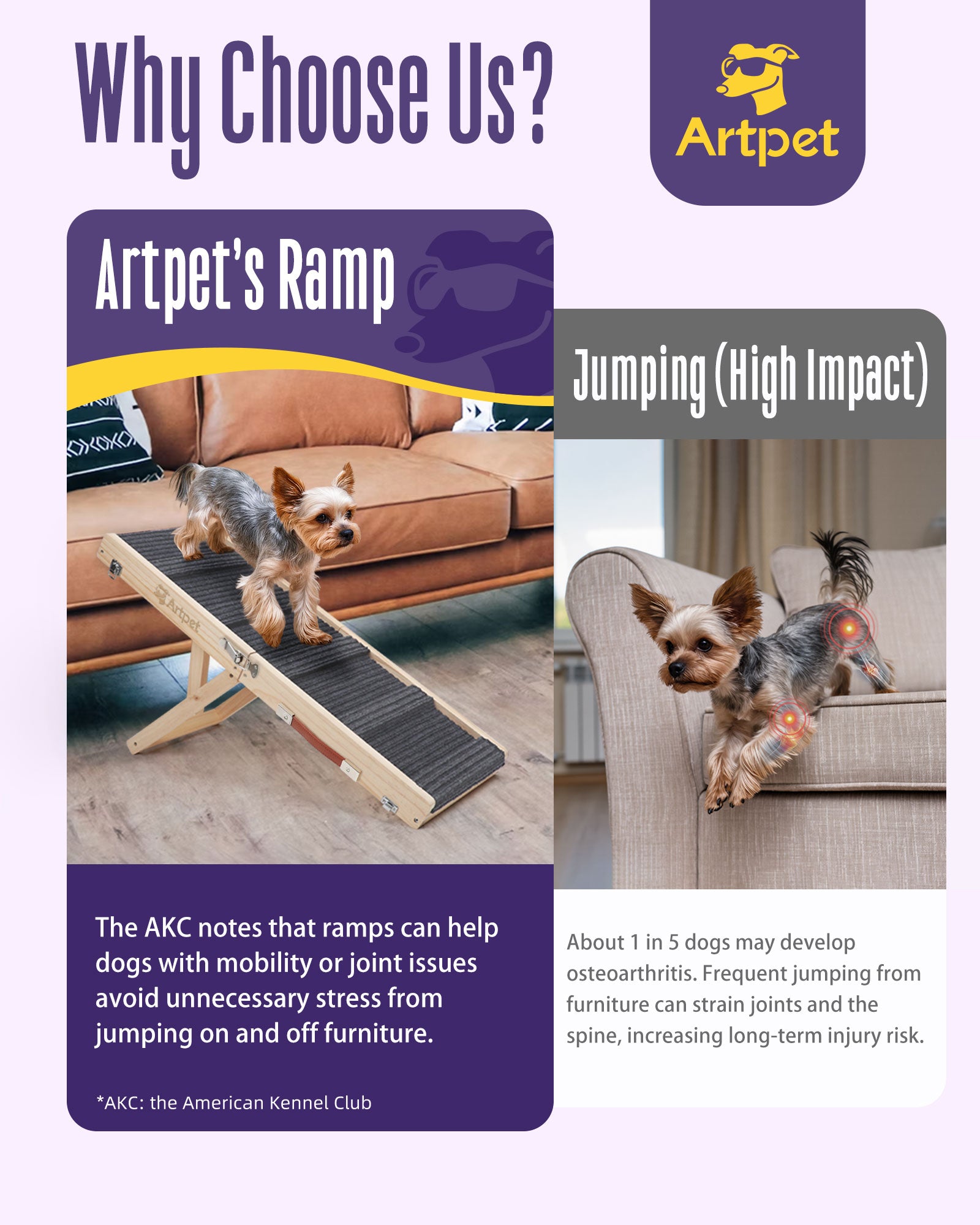 Dog Ramp for Small Dogs for Couch & Bed, Dachshund Joint Care Ramp