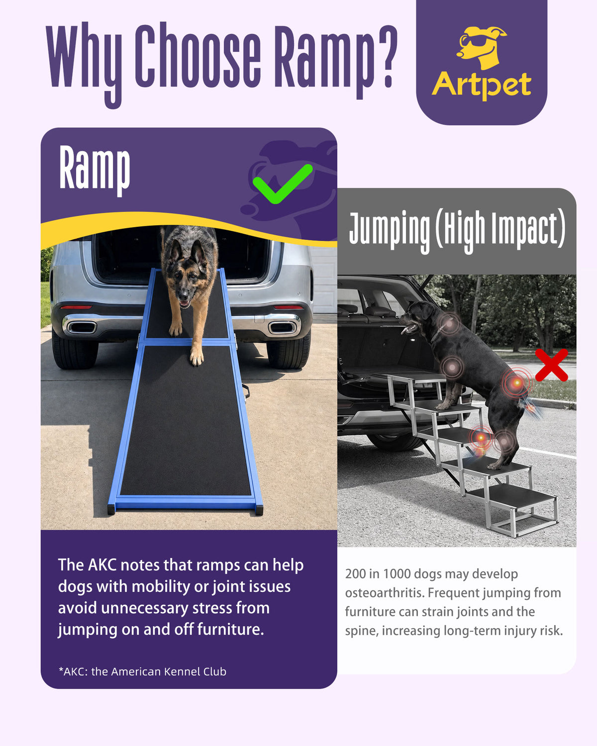 Dog Ramp for Car
