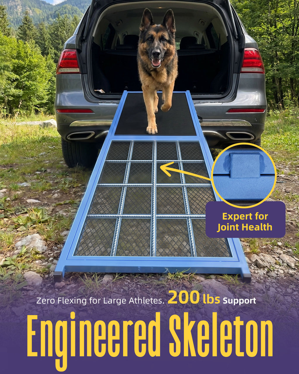 Dog Ramp for Car