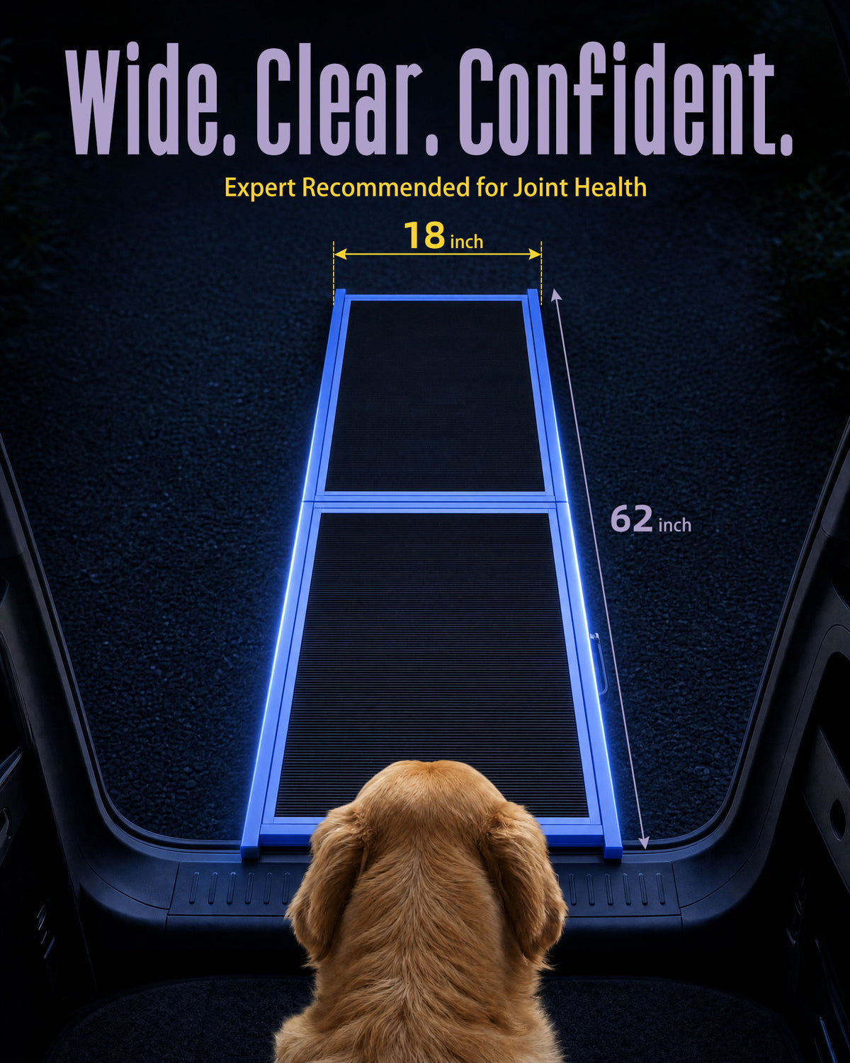 Dog Ramp for Car
